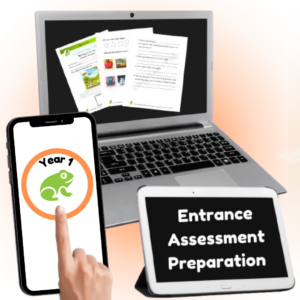 assessment preparation Year 1 Product