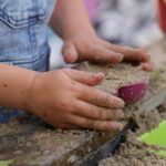 earlyyears pad reception sand