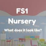 fs1 what does it look like